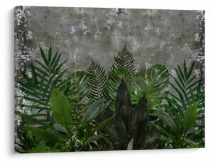 Tablou - Zid de beton cu plante (70x50 cm)