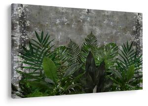 Tablou - Zid de beton cu plante (90x60 cm)