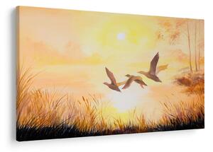Tablou - Macarale la apus de soare (90x60 cm)