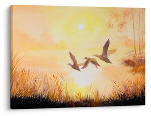 Tablou - Macarale la apus de soare (70x50 cm)
