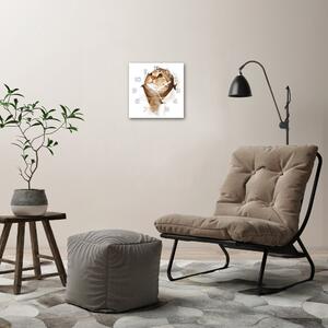 Ceas de sticlă pe perete pătrat Pisică