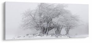 Tablou - Iarnă albă (120x50 cm)