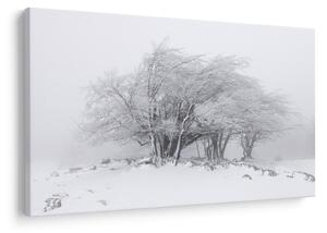 Tablou - Iarnă albă (90x60 cm)