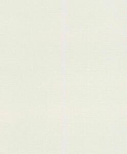 Tapet vlies de perete rasch deco style 312324