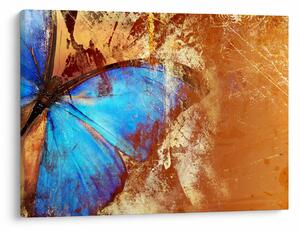 Tablou - Fluture albastru (70x50 cm)