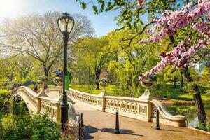 Fototapetă vlies podul central park 375 x 250 cm