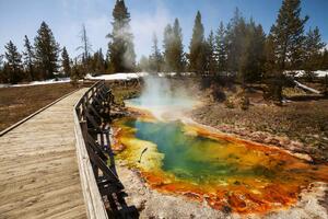 Fototapetă vlies parcul yellowstone 375 x 250 cm