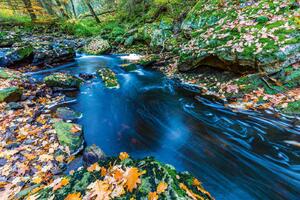 Fototapetă vlies pârâuri de toamnă 375 x 250 cm