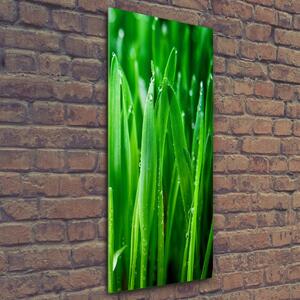 Imagine de sticlă lame de iarbă