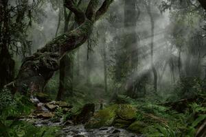 Fototapetă vlies pădure în întuneric 375 x 250 cm