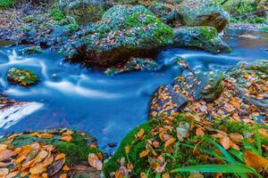 Fototapetă vlies ardeni belgieni 375 x 250 cm