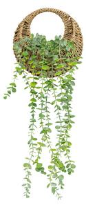 Planta de eucalipt suspendată naturală Zea înălțime 70 cm