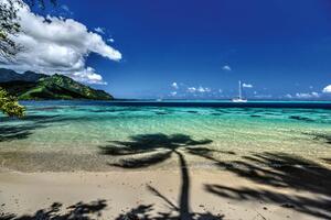 Fototapetă vlies plajă moorea 375 x 250 cm
