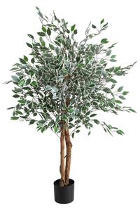 Ficus artificial pestriț într-un ghiveci, înălțime 130 cm