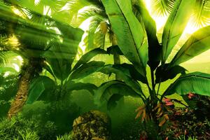 Fototapetă vlies pădure tropicală tropicală 375 x 250 cm