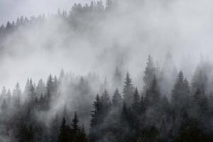 Fototapetă vlies ceață 375 x 250 cm