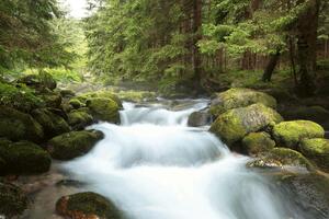 Fototapetă vlies parcul național tatra 375 x 250 cm