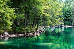 Fototapetă vlies lac și pădure 375 x 250 cm