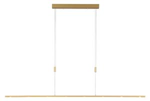 Lustră Pendul Quitani, Tolu, reglabil, Auriu / Alamă, Camera de zi, Metal, Modern
