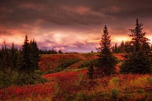Fototapetă vlies răsărituri de soare din alaska 375 x 250 cm