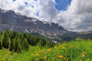 Fototapetă vlies zi de vară la munte 375 x 250 cm