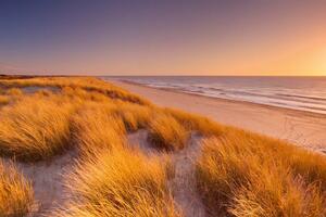 Fototapetă vlies dune înalte 375 x 250 cm