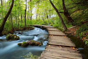 Fototapetă vlies alee pe terasă 375 x 250 cm