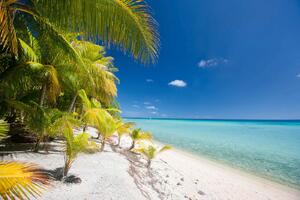 Fototapetă vlies plajă pe o insulă tropicală 375 x 250 cm