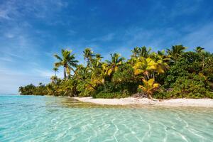 Fototapetă vlies palmieri tropicali 375 x 250 cm