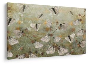 Tablou - Vintege fluturi (90x60 cm)