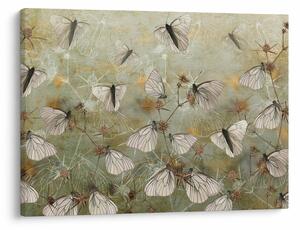 Tablou - Vintege fluturi (70x50 cm)