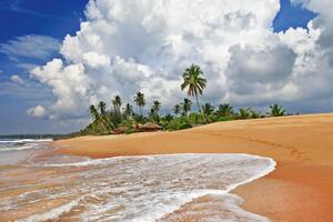 Fototapetă vlies plajă sălbatică din sri lanka 375 x 250 cm