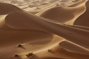 Fototapetă vlies dune din sahara 375 x 250 cm