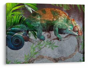 Tablou - Cameleon (70x50 cm)