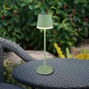 Globo Lumină solară LED, metal, verde deschis, înălțime 41 cm, IP44, Verde, Metal