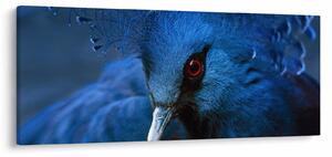 Tablou - Porumbel încoronat (120x50 cm)