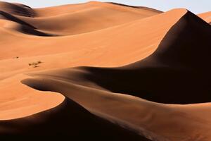 Fototapetă vlies dune de nisip iluminate 375 x 250 cm