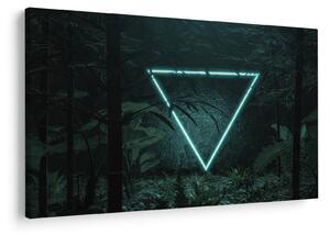 Tablou - Triunghi de neon în junglă (90x60 cm)
