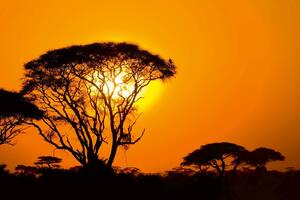 Fototapetă vlies apus de soare în africa 375 x 250 cm