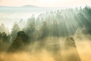 Fototapetă vlies razele soarelui 375 x 250 cm