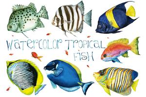 Fototapetă vlies pești tropicali 375 x 250 cm
