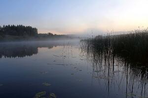 Fototapetă vlies râul înainte de răsăritul soarelui 375 x 250 cm