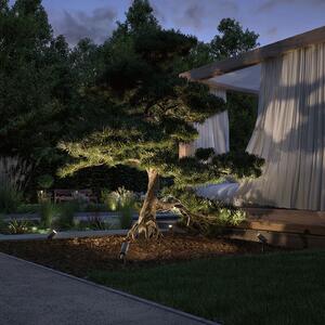 Paulmann Plug & Shine LED reflector cu vârf de sol Radix, reglabil, Gri, Metal