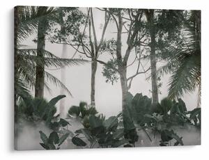 Tablou - Jungla în ceața dimineții (70x50 cm)