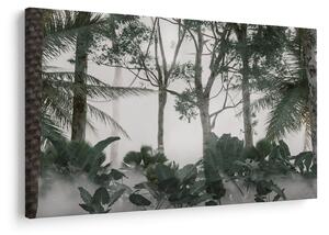 Tablou - Jungla în ceața dimineții (90x60 cm)