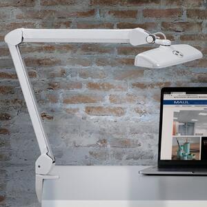 Maul MAULintro LED lampă de lucru, alb, 52 cm, bază cu clemă, reglabil, Alb, Studiu / Birou, Metal