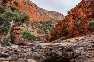 Fototapetă vlies parcul național australian 375 x 250 cm