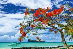 Fototapetă vlies paradis tropical 375 x 250 cm