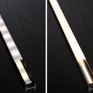 Paulmann MaxLED COB 1000 2.700 K 2,5m, reglabil, Gri, Camera de zi / sufragerie, Plastic, Modern