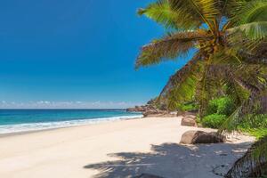 Fototapetă vlies plajă tropicală 375 x 250 cm